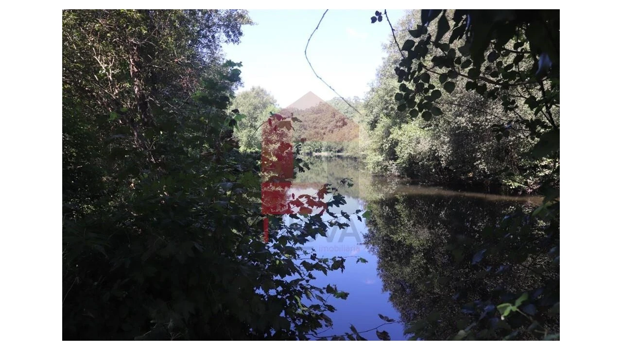 Terreno para Venda em Fiscal Foto 14