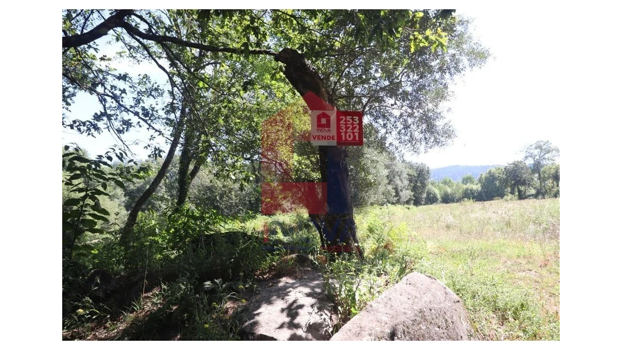 Terreno para Venda em Fiscal Foto 26