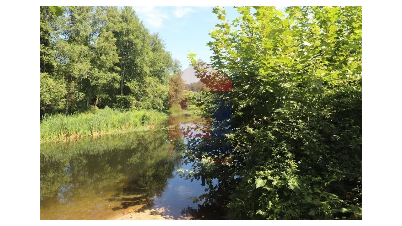 Terreno para Venda em Fiscal Foto 11