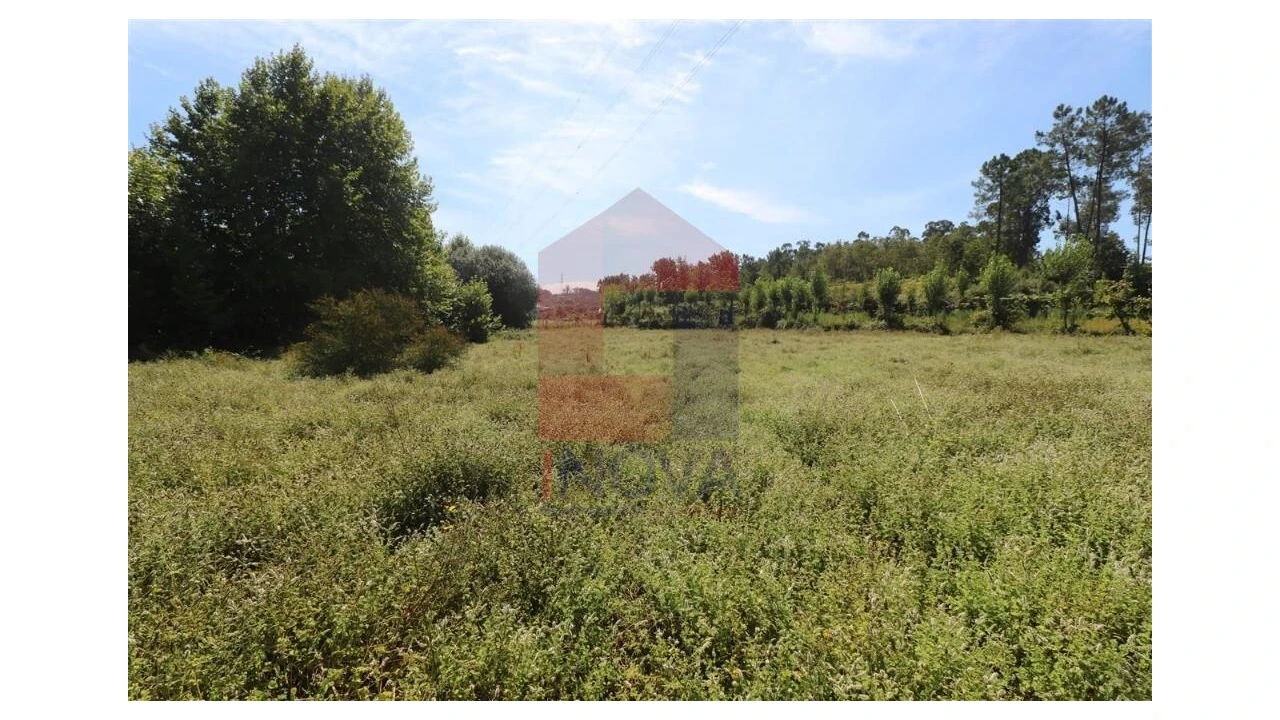 Terreno para Venda em Fiscal Foto 6