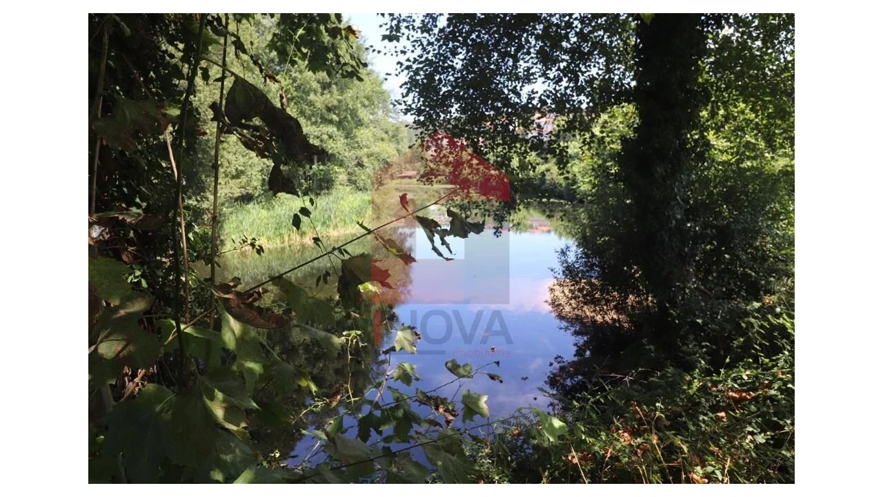 Terreno para Venda em Fiscal Foto 15