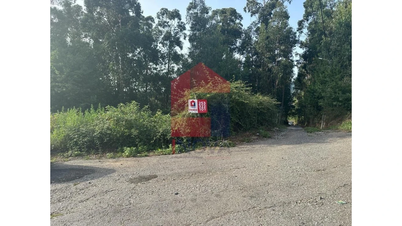 Terreno para Venda em Pico de Regalados, Gondiães e Mós Foto 1