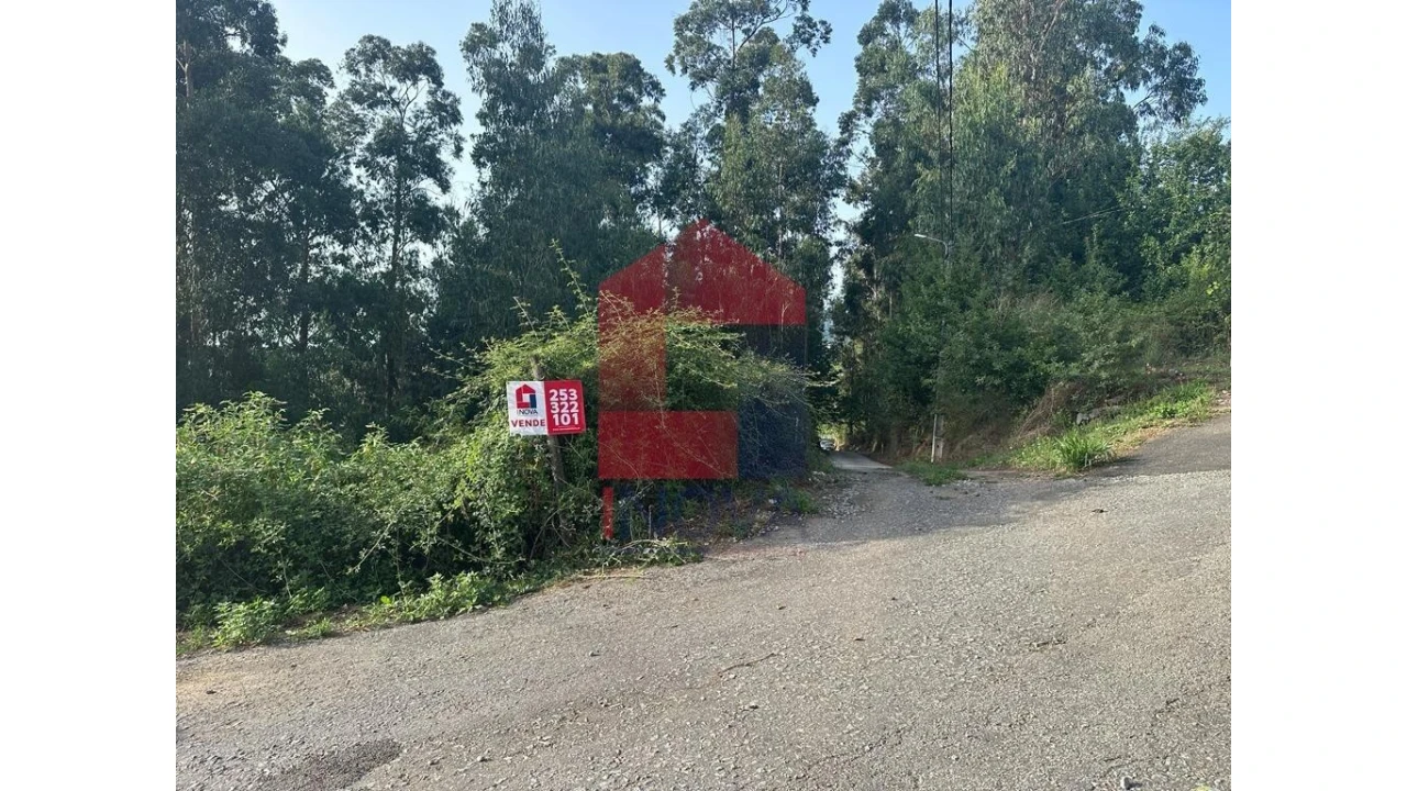 Terreno para Venda em Pico de Regalados, Gondiães e Mós Foto 12