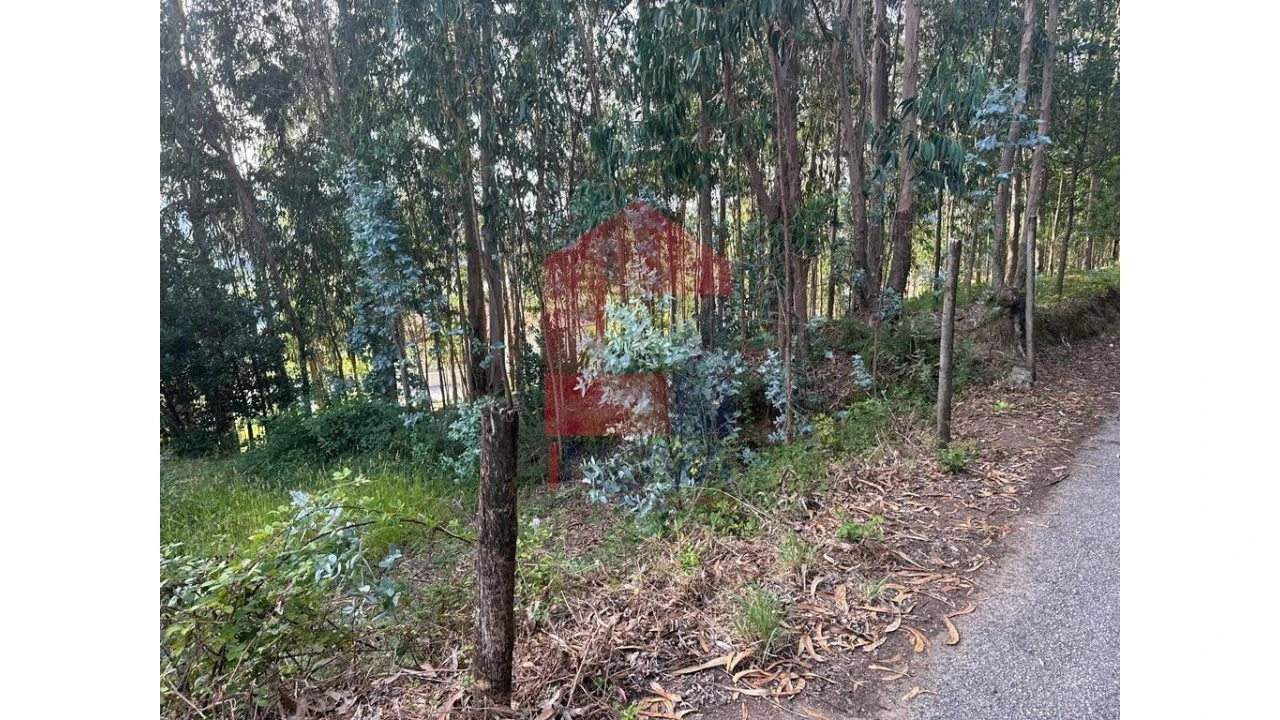 Terreno para Venda em Pico de Regalados, Gondiães e Mós Foto 11