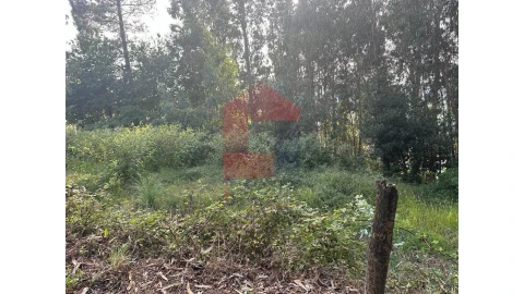 Terreno para Venda em Pico de Regalados, Gondiães e Mós