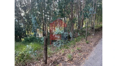 Terreno para Venda em Pico de Regalados, Gondiães e Mós