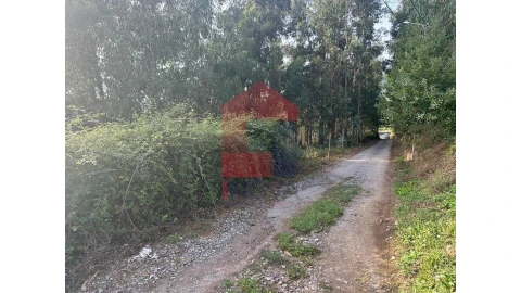 Terreno para Venda em Pico de Regalados, Gondiães e Mós