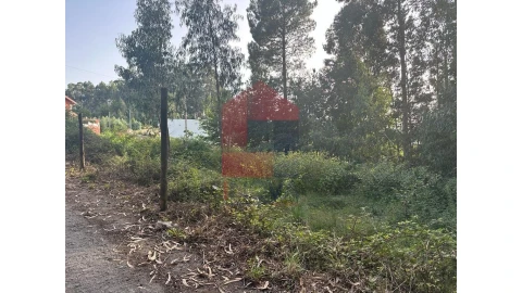 Terreno para Venda em Pico de Regalados, Gondiães e Mós