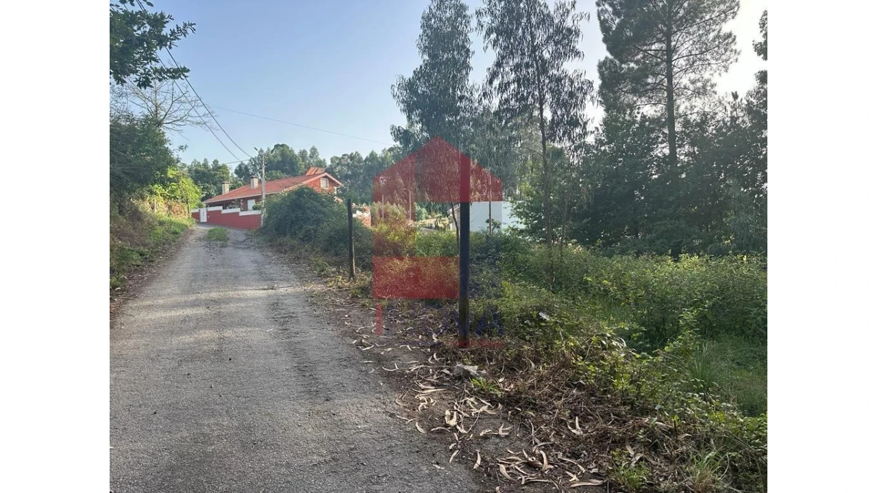 Terreno para Venda em Pico de Regalados, Gondiães e Mós Foto 7