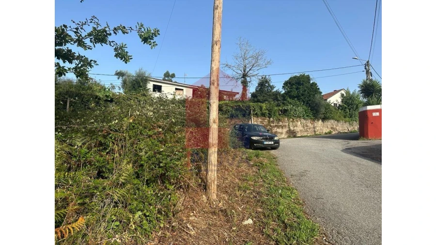 Terreno para Venda em Pico de Regalados, Gondiães e Mós Foto 5