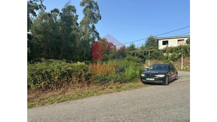 Terreno para Venda em Pico de Regalados, Gondiães e Mós Foto 8