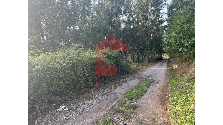 Terreno para Venda em Pico de Regalados, Gondiães e Mós Foto 6