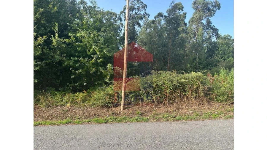 Terreno para Venda em Pico de Regalados, Gondiães e Mós Foto 2