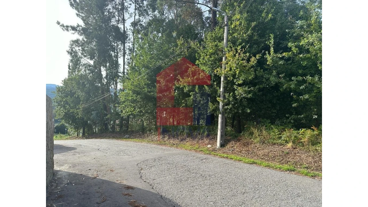 Terreno para Venda em Pico de Regalados, Gondiães e Mós Foto 3