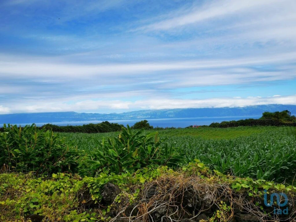 Moradia T2 para Venda em Piedade Foto 8