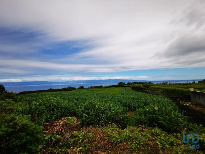 Moradia T2 para Venda em Piedade Foto 7