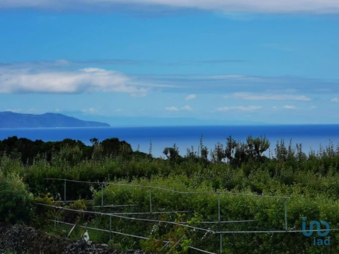 Moradia T2 para Venda em Piedade Foto 5