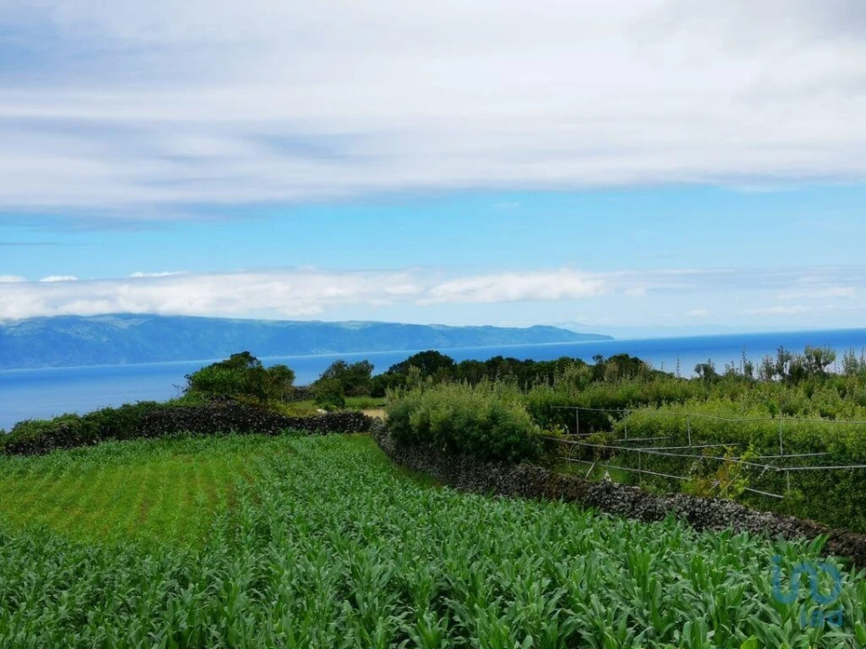 Moradia T2 para Venda em Piedade Foto 6