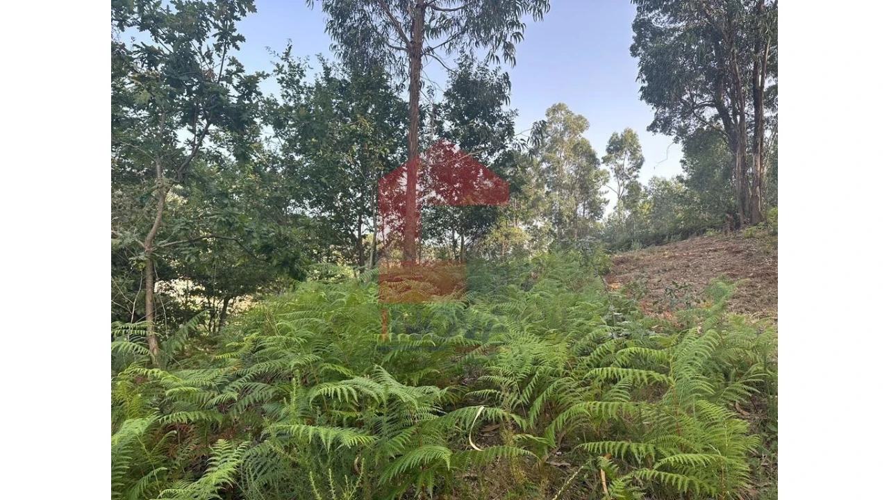 Quinta para Venda em Pico de Regalados, Gondiães e Mós Foto 15