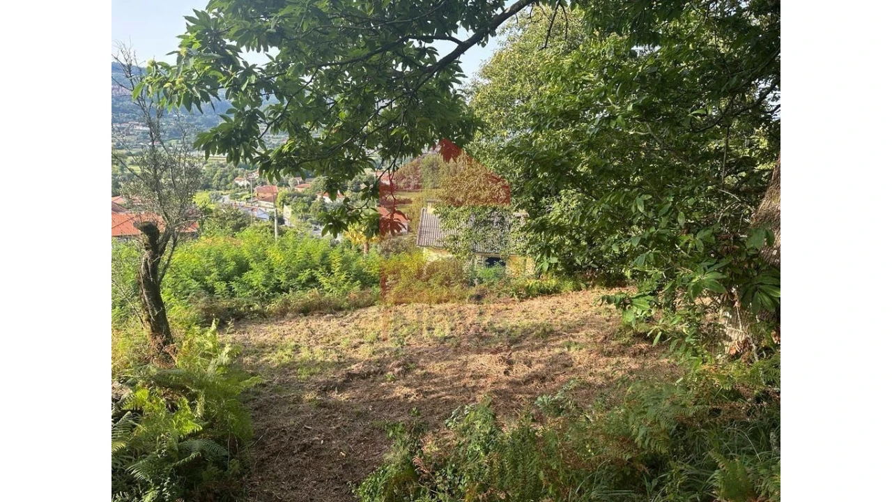 Quinta para Venda em Pico de Regalados, Gondiães e Mós Foto 16