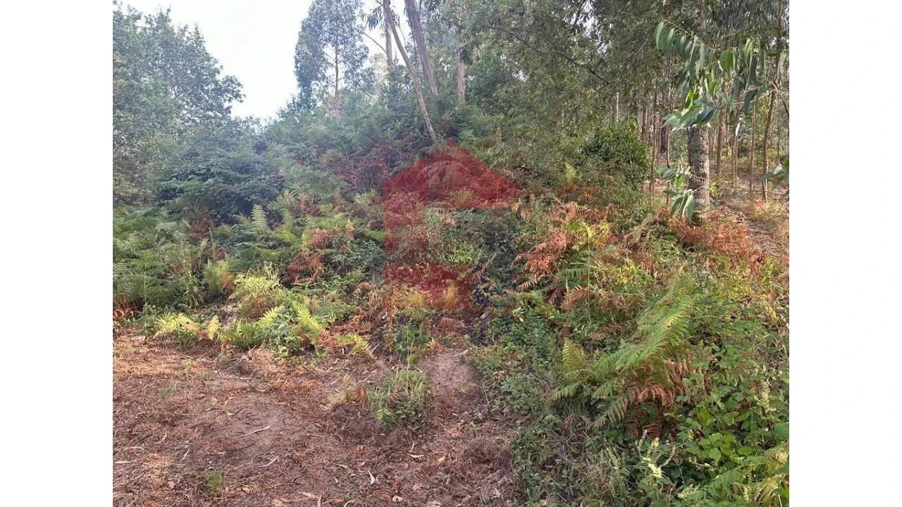 Quinta para Venda em Pico de Regalados, Gondiães e Mós Foto 19