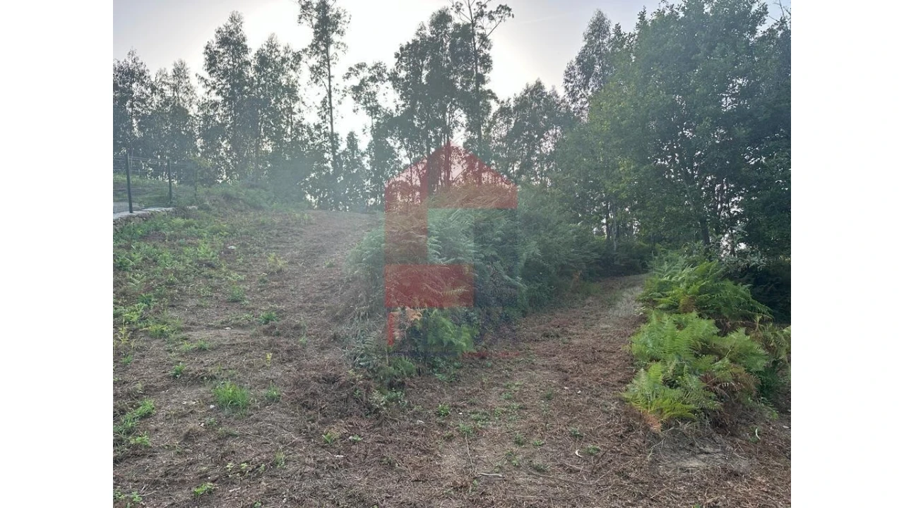 Quinta para Venda em Pico de Regalados, Gondiães e Mós Foto 3