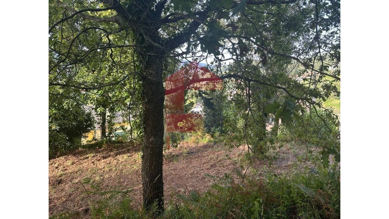 Quinta para Venda em Pico de Regalados, Gondiães e Mós Foto 13