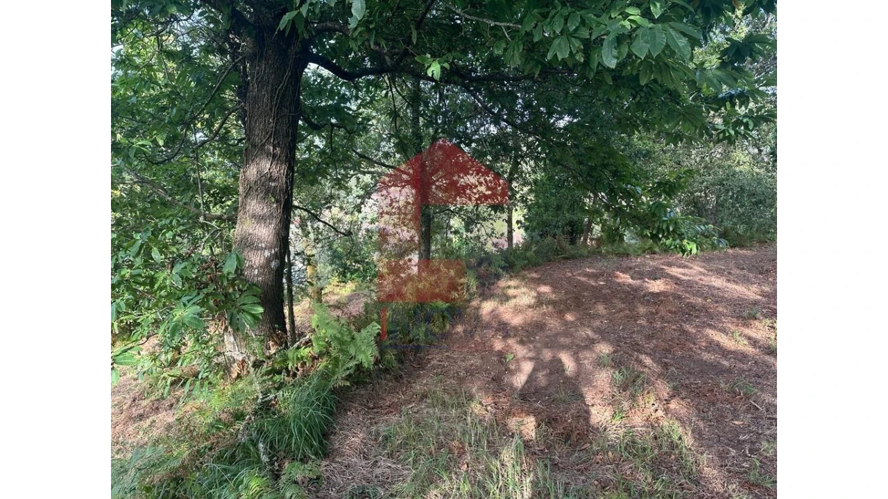 Quinta para Venda em Pico de Regalados, Gondiães e Mós Foto 18