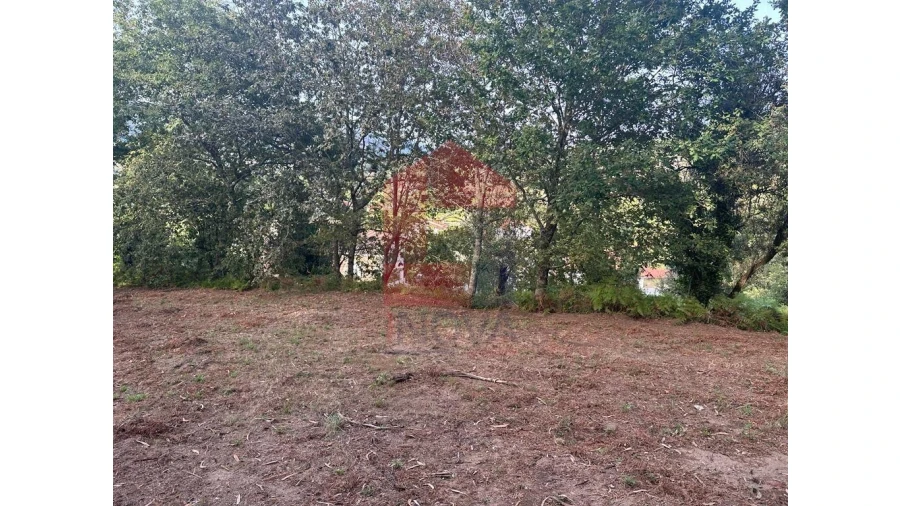 Quinta para Venda em Pico de Regalados, Gondiães e Mós Foto 11