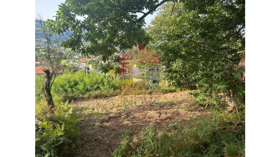 Quinta para Venda em Pico de Regalados, Gondiães e Mós Foto 16