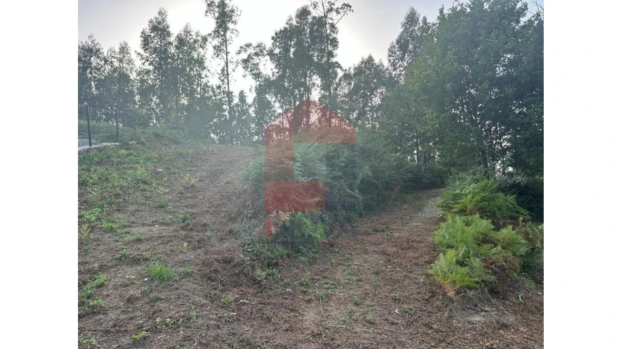 Quinta para Venda em Pico de Regalados, Gondiães e Mós Foto 3