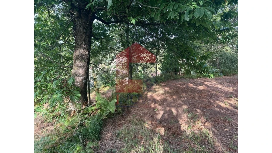 Quinta para Venda em Pico de Regalados, Gondiães e Mós Foto 18