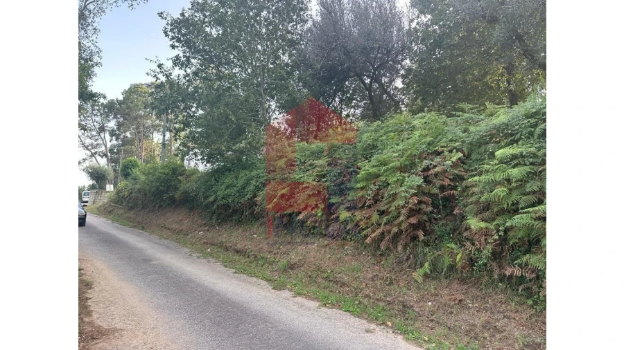 Quinta para Venda em Pico de Regalados, Gondiães e Mós Foto 20