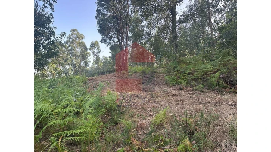 Quinta para Venda em Pico de Regalados, Gondiães e Mós Foto 7