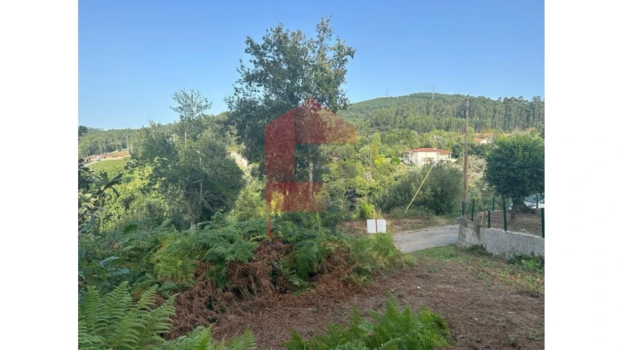 Quinta para Venda em Pico de Regalados, Gondiães e Mós Foto 4