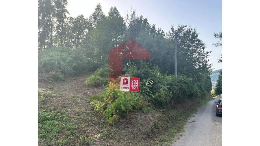 Quinta para Venda em Pico de Regalados, Gondiães e Mós Foto 1