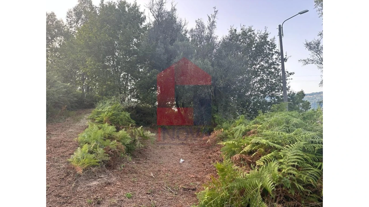 Quinta para Venda em Pico de Regalados, Gondiães e Mós Foto 2