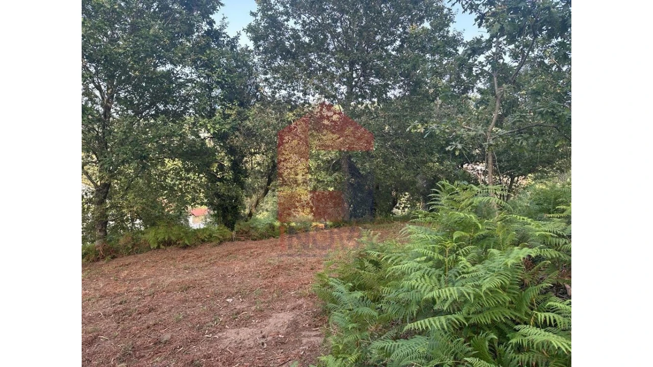 Quinta para Venda em Pico de Regalados, Gondiães e Mós Foto 10