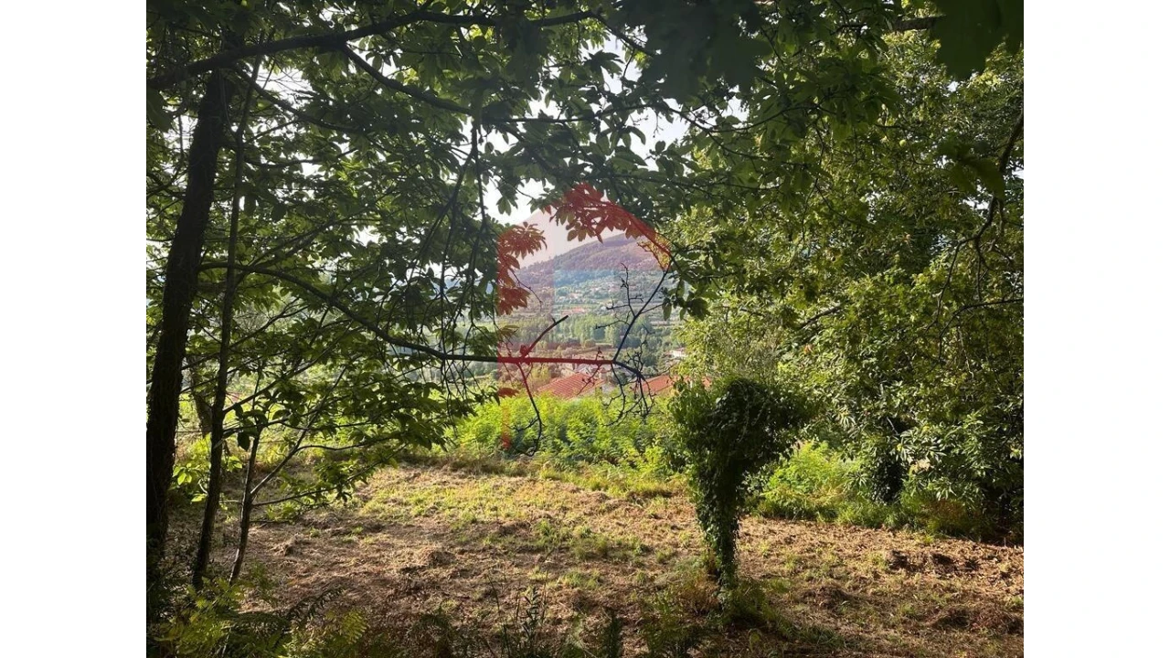 Quinta para Venda em Pico de Regalados, Gondiães e Mós Foto 12