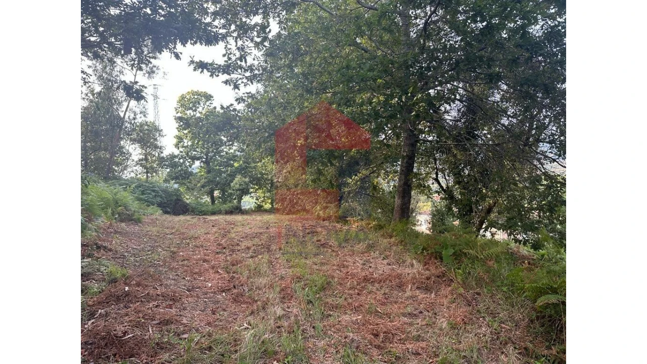 Quinta para Venda em Pico de Regalados, Gondiães e Mós Foto 5