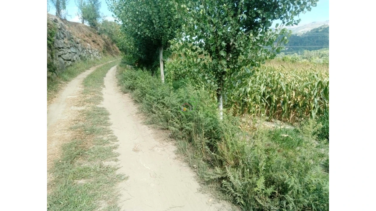 Terreno para Venda em Valbom (São Pedro), Passô e Valbom (São Martinho) Foto 1