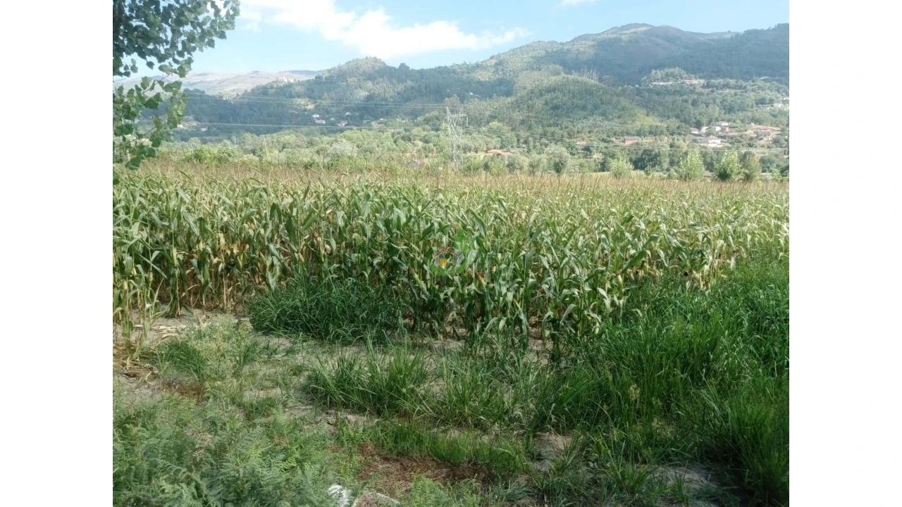Terreno para Venda em Valbom (São Pedro), Passô e Valbom (São Martinho) Foto 4