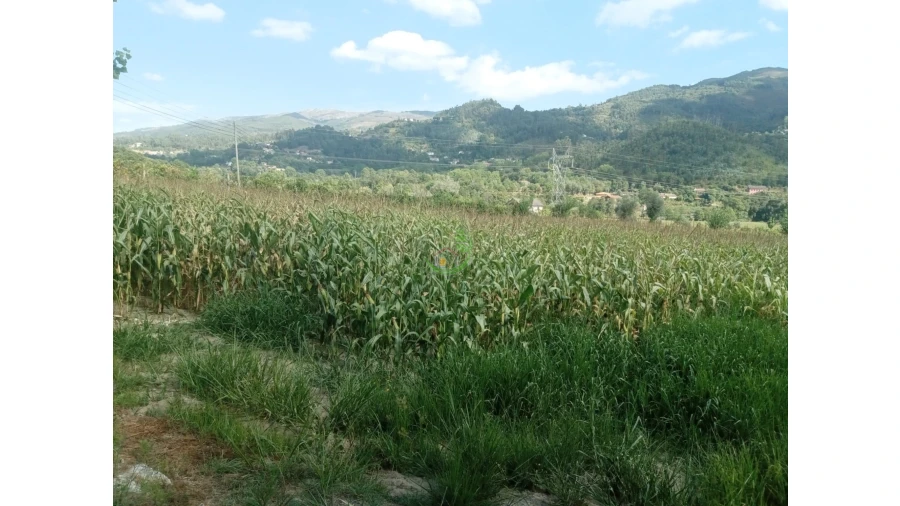 Terreno para Venda em Valbom (São Pedro), Passô e Valbom (São Martinho) Foto 3