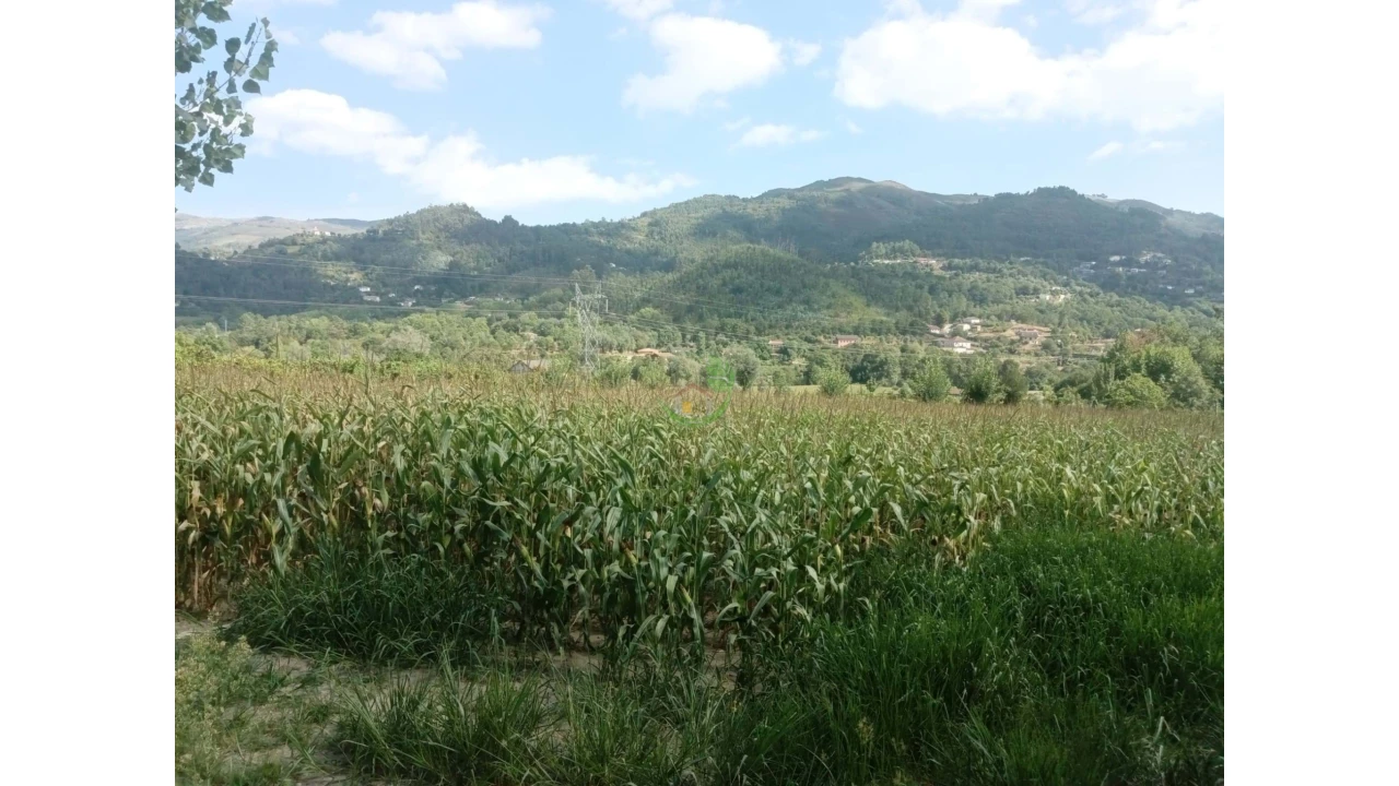 Terreno para Venda em Valbom (São Pedro), Passô e Valbom (São Martinho) Foto 2