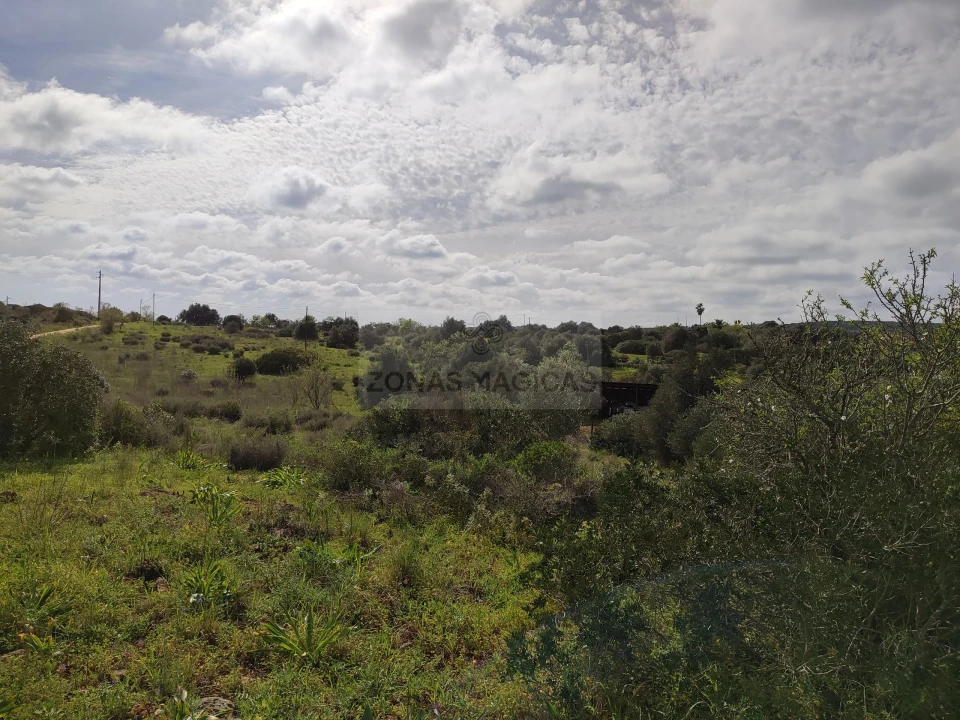 Terreno para Venda em Lagos (São Sebastião e Santa Maria) Foto 11