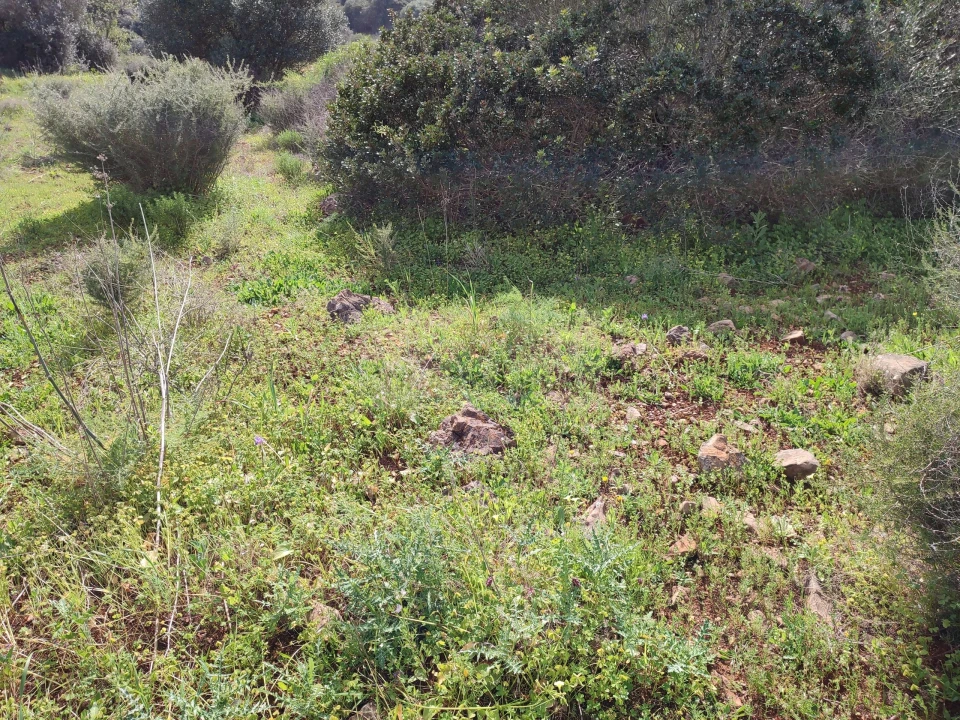 Terreno para Venda em Lagos (São Sebastião e Santa Maria) Foto 12
