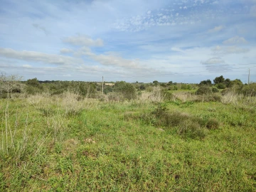 Terreno para Venda em Lagos (São Sebastião e Santa Maria)