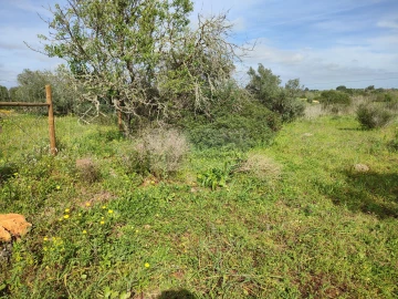 Terreno para Venda em Lagos (São Sebastião e Santa Maria)