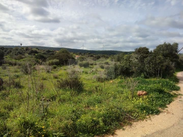 Terreno para Venda em Lagos (São Sebastião e Santa Maria)