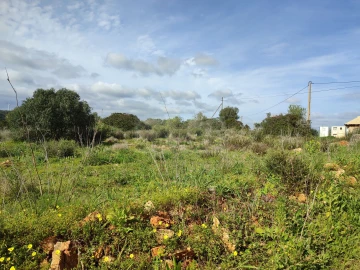 Terreno para Venda em Lagos (São Sebastião e Santa Maria)
